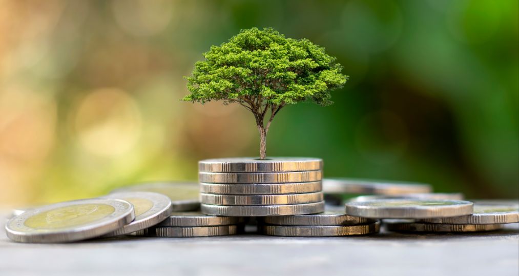 Invertir en Brasil. Monedas y un arbol creciendo arriba de ellas.